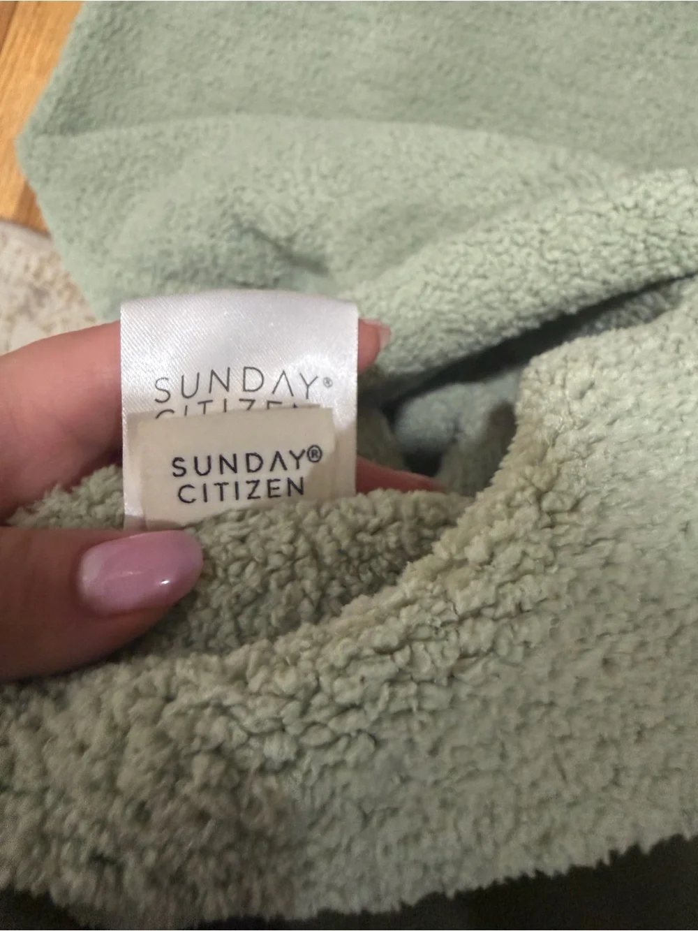 Sunday Citizen Sage Green Teddy Sherpa Standard Pillow Shams Set of 2