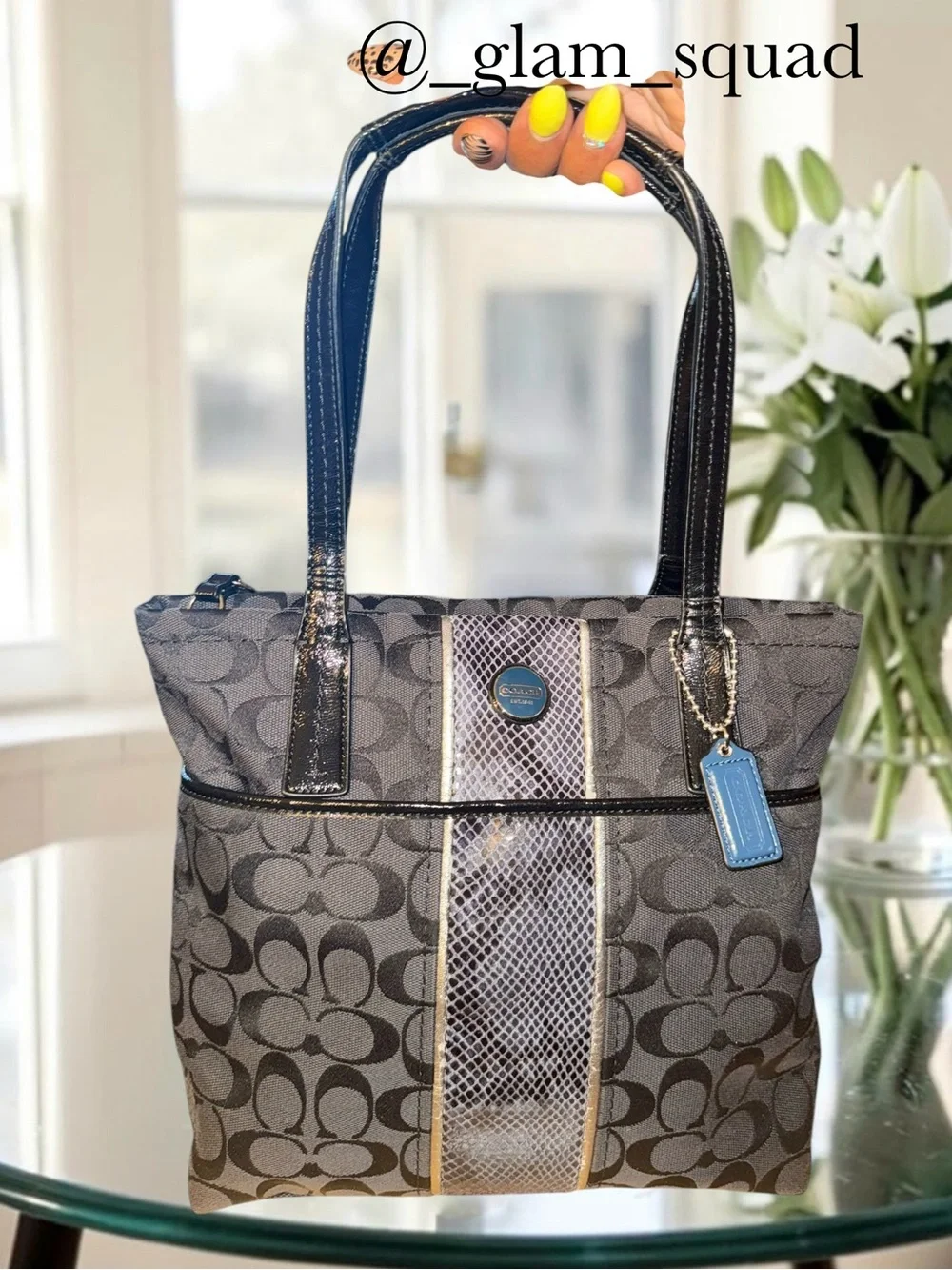 Coach Signature Stripe Python Tote Bag Black Grey F25706