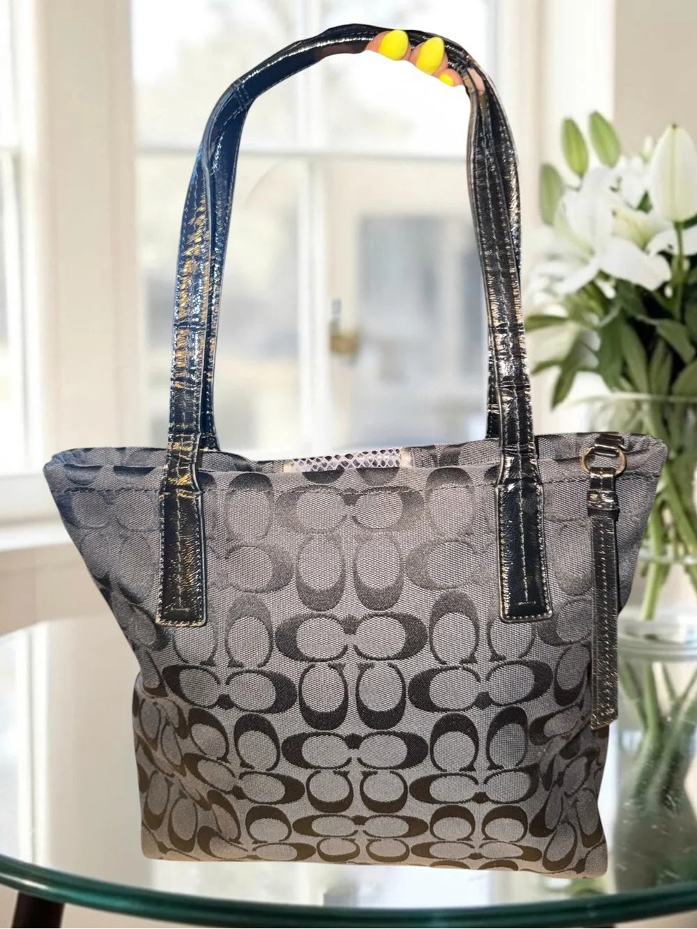 Coach Signature Stripe Python Tote Bag Black Grey F25706