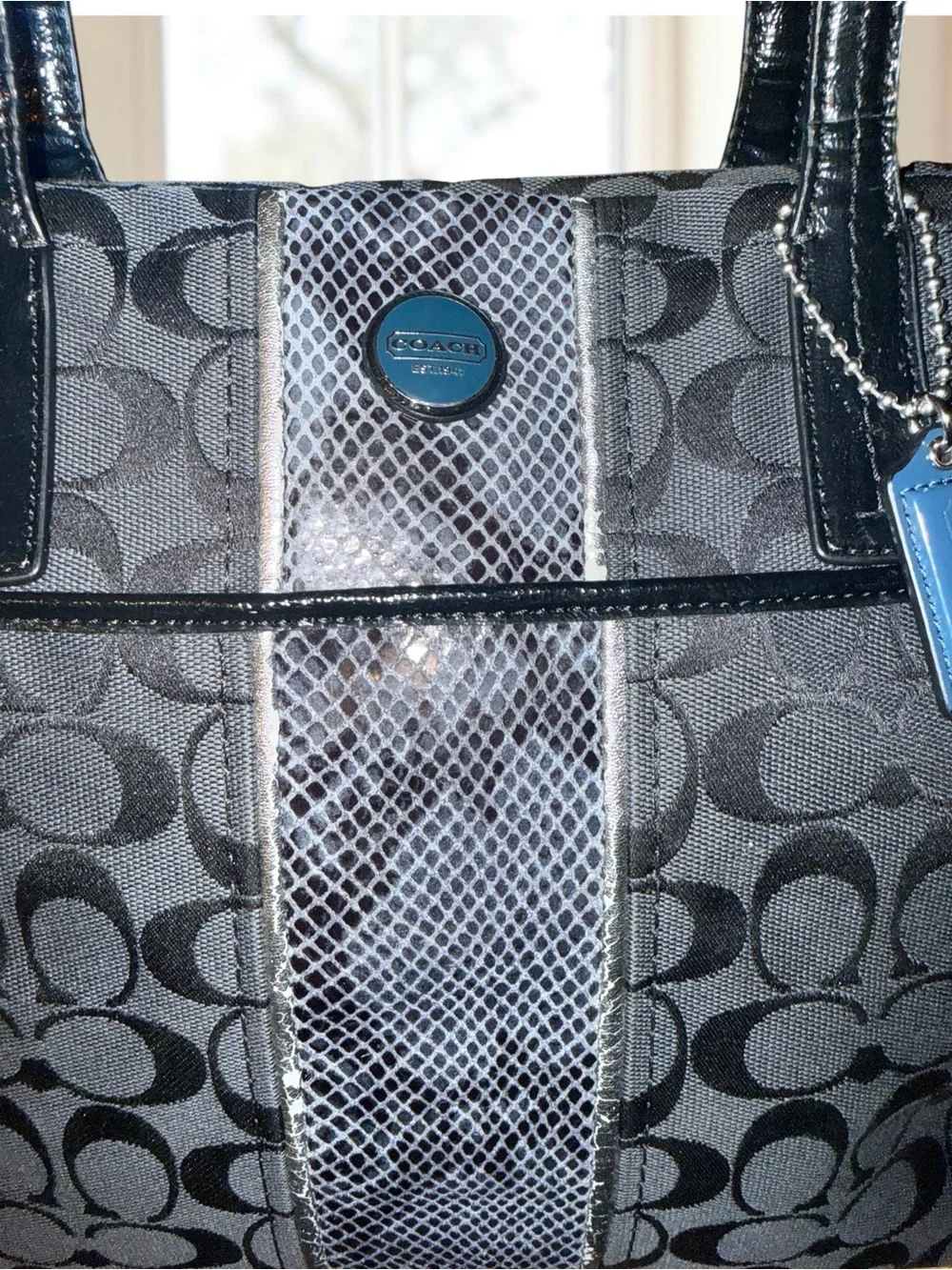 Coach Signature Stripe Python Tote Bag Black Grey F25706
