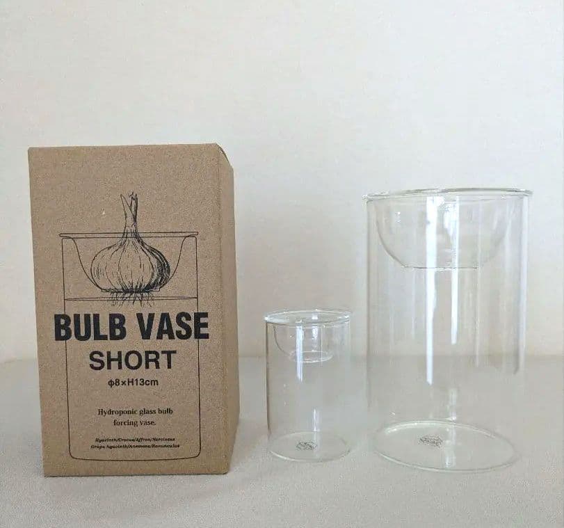 BULB VASE SHORT Glass Flower Vase Set of 2