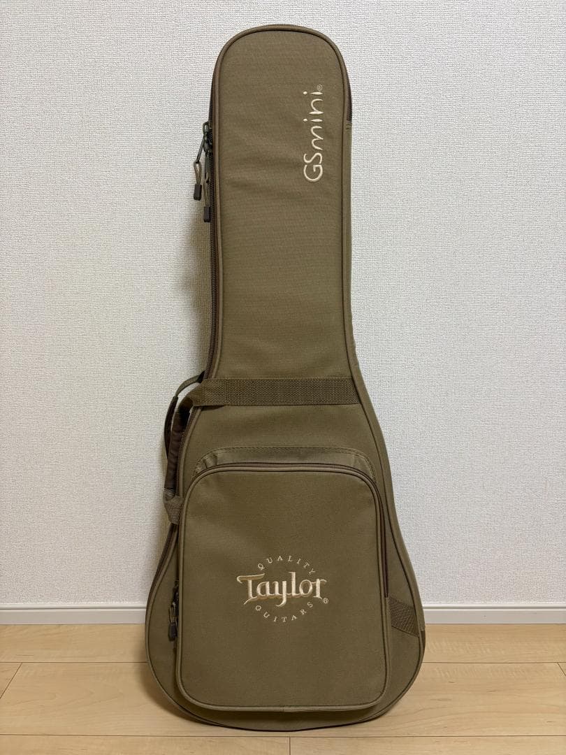 Taylor GS Mini-e Walnut