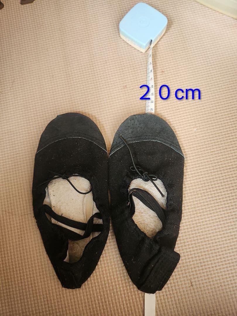Ballet Shoes 20cm