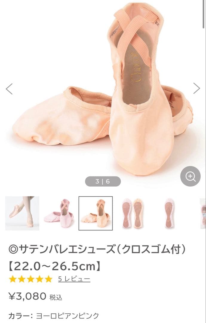 Chacott Satin Ballet Shoes 25.5cm European Pink Adult