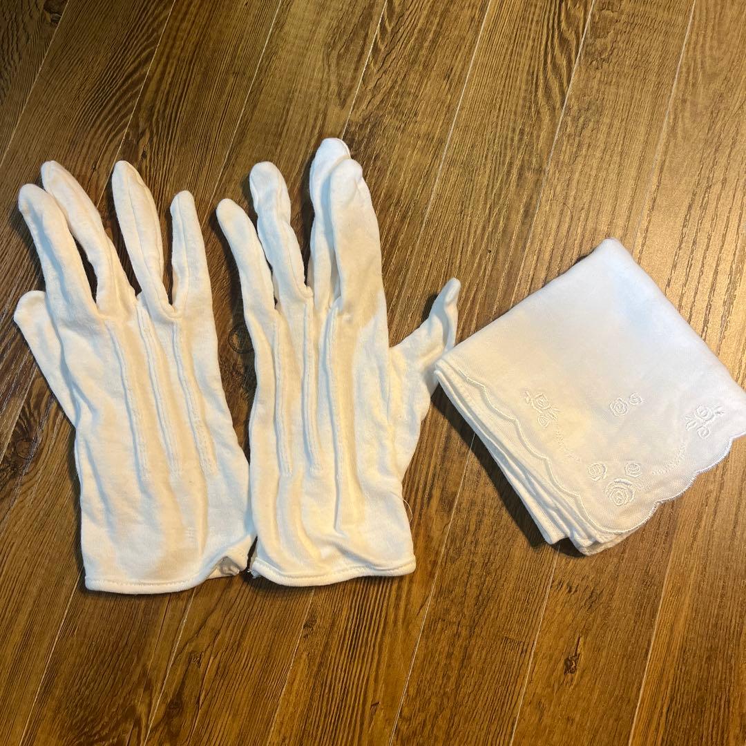 Groom's Gloves and Floral Embroidered Handkerchief Set