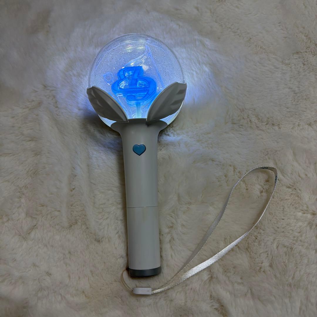 Park Bo Gum Official Penlight