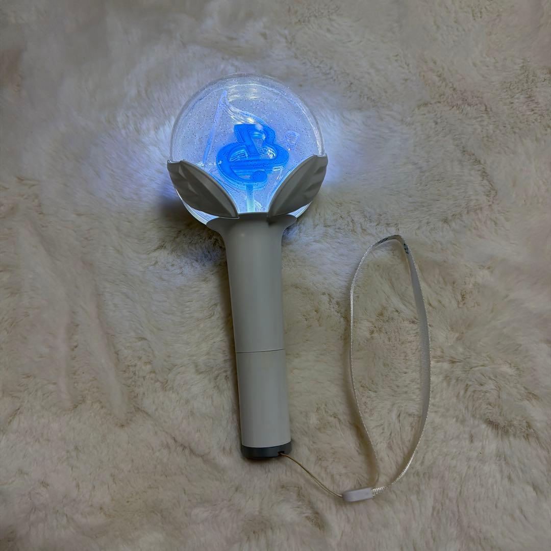 Park Bo Gum Official Penlight
