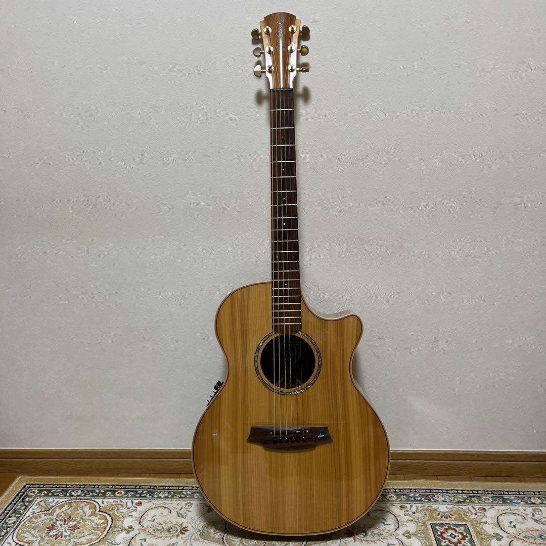 Cole Clark AN2EC-BB-G (Cole Clark) - Price Reduced