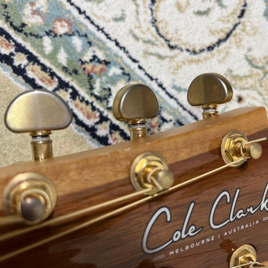 Cole Clark AN2EC-BB-G (Cole Clark) - Price Reduced