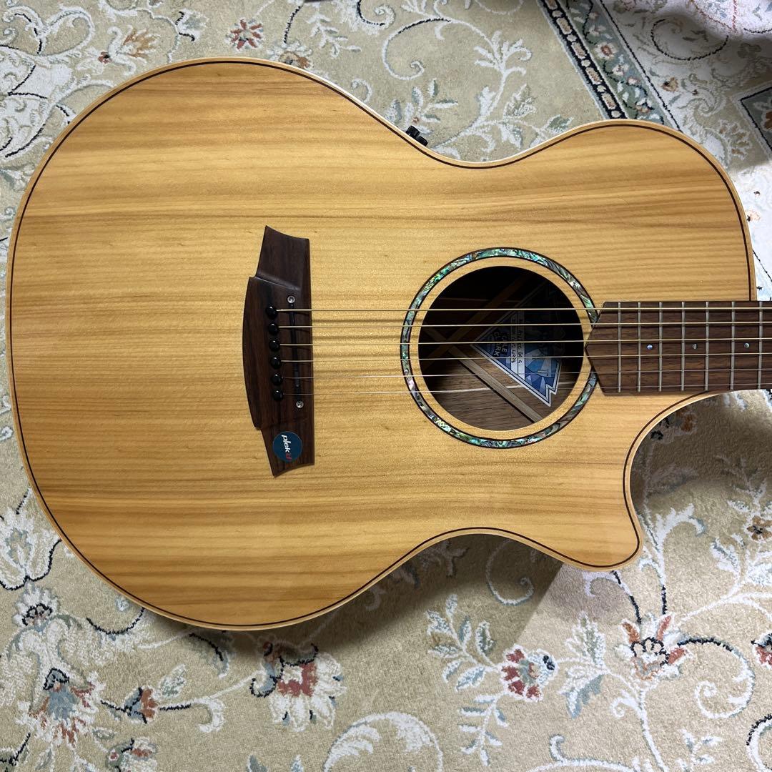 Cole Clark AN2EC-BB-G (Cole Clark) - Price Reduced