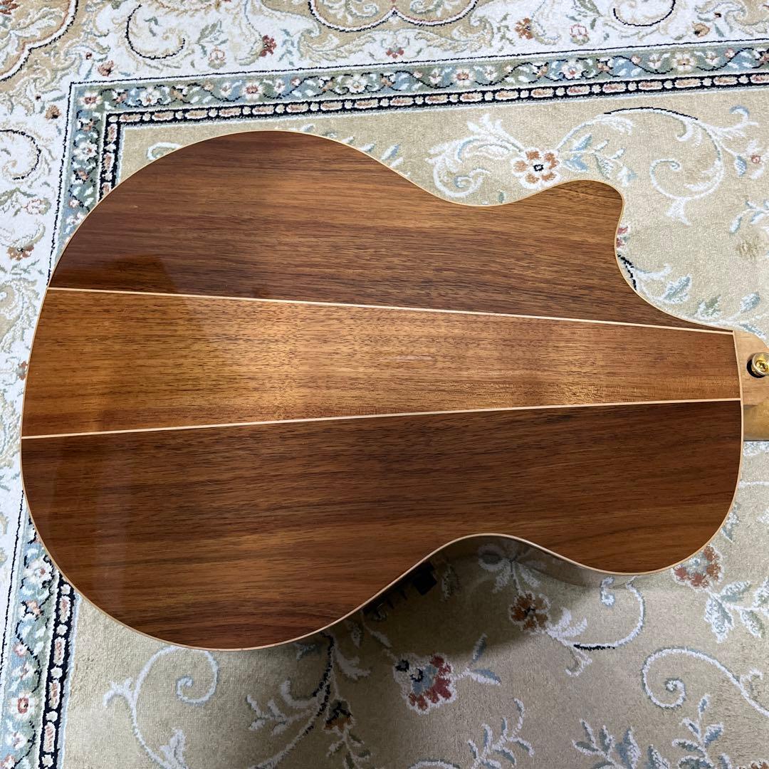 Cole Clark AN2EC-BB-G (Cole Clark) - Price Reduced