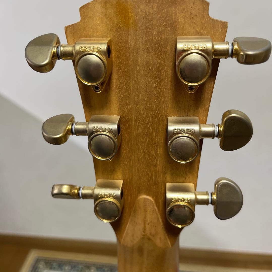 Cole Clark AN2EC-BB-G (Cole Clark) - Price Reduced