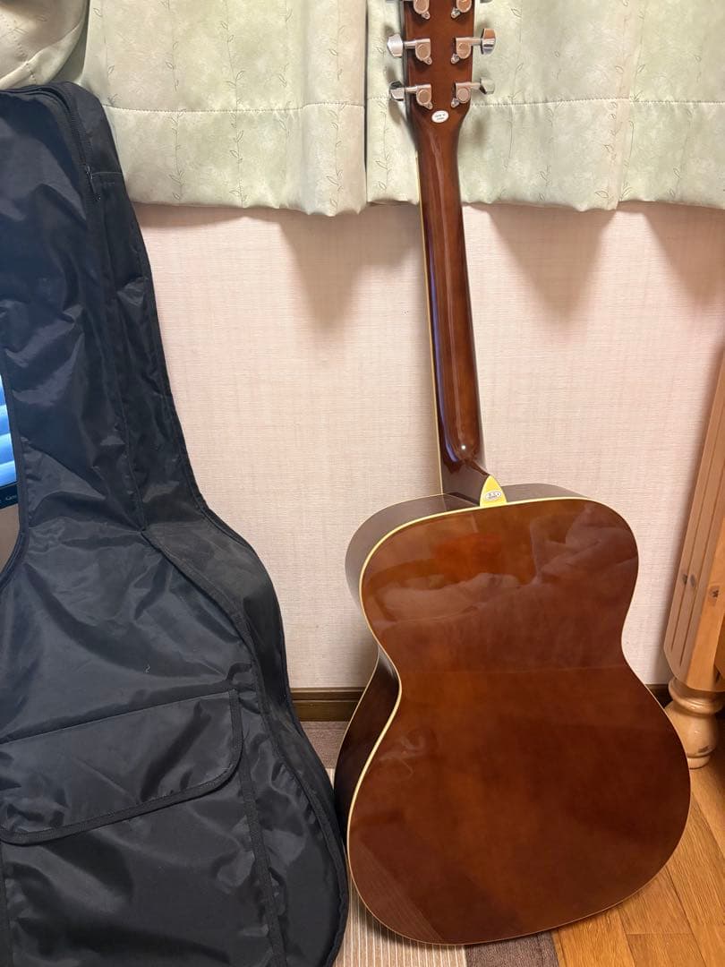 Acoustic Guitar (with case)