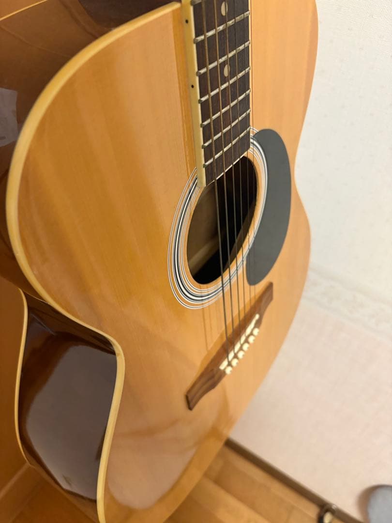 Acoustic Guitar (with case)