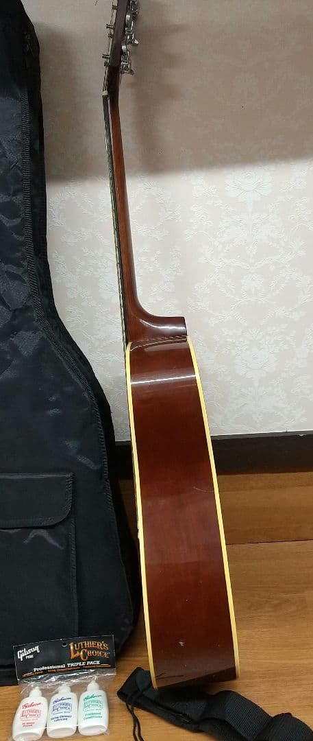 M HONEY BEE Acoustic Guitar W-15/TS