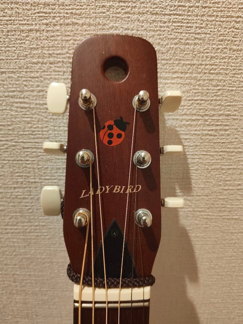 Ladybird Acoustic Guitar Sunburst